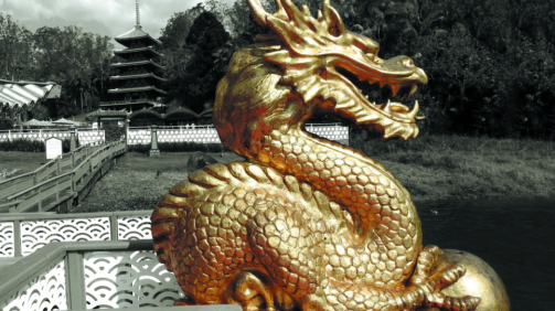 Dragão_capa(1)